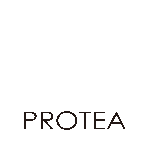Protea Hair